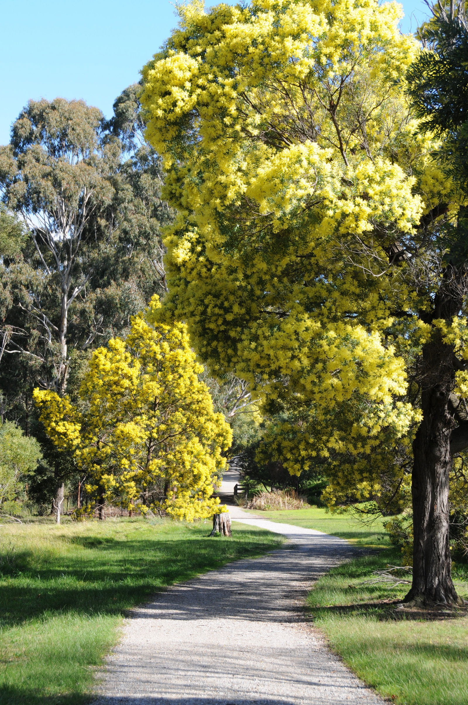 Kilsyth VIC Find Attractions