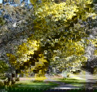 Wattle Park - Find Attractions