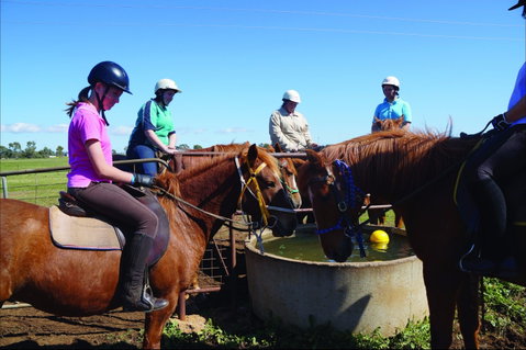 Western Plains Riding Centre - Open - Find Attractions 0