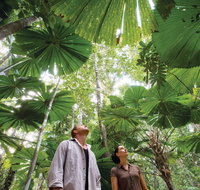 Wet Tropics Rainforest - Find Attractions