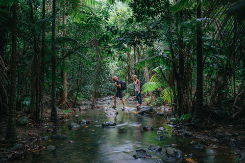 Wet Tropics Rainforest - Find Attractions 2