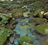 Whian Whian State Conservation Area - Find Attractions