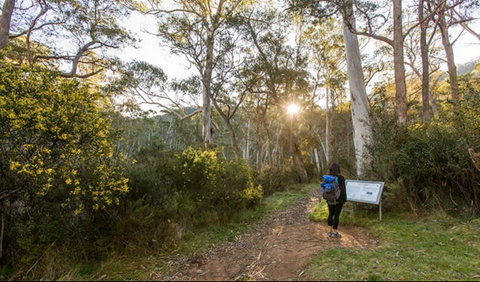 Yarrangobilly Caves – River Walk - Find Attractions 0