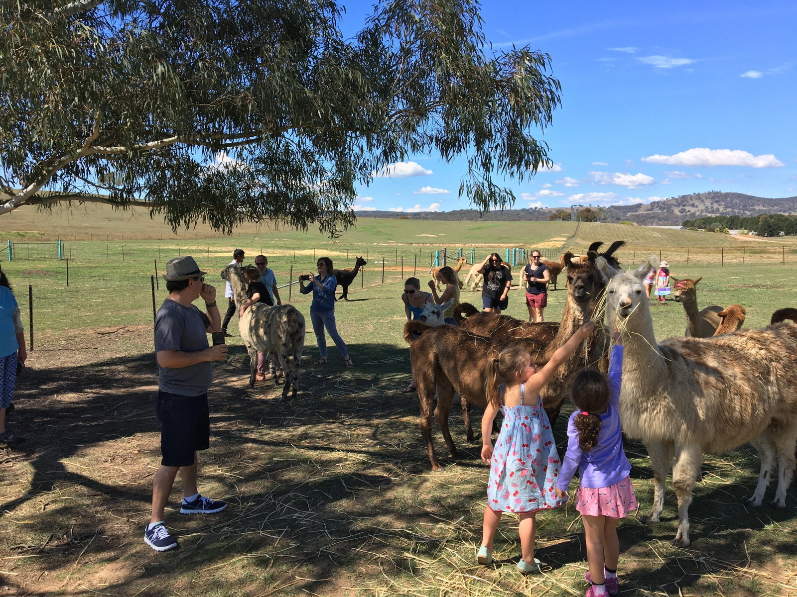Queanbeyan West NSW Find Attractions