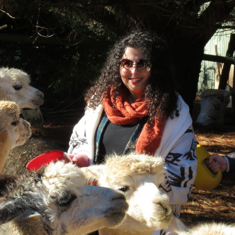 Alpaca Farm Experience At Crookwell - Find Attractions 1