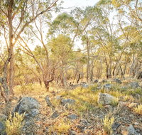 Alpine Views Walk - Find Attractions