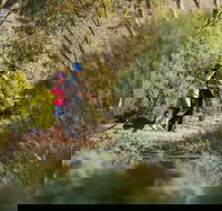 Australian Arid Lands Botanic Garden - Find Attractions