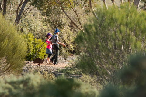 Australian Arid Lands Botanic Garden - Find Attractions 0