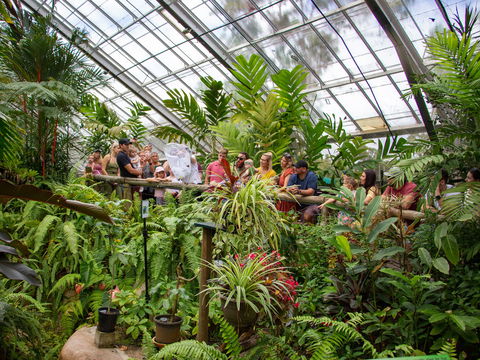 Australian Butterfly Sanctuary - Find Attractions 2