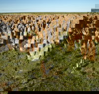 Borroloola - Find Attractions