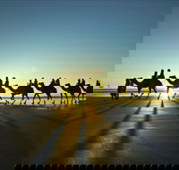 Cable Beach - Find Attractions