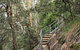 Caleys Lookout Track - thumb 0