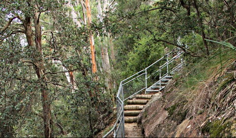 Caleys Lookout Track - Find Attractions 0