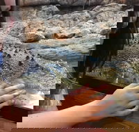 Canberra Reptile Zoo - Find Attractions