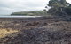 Churchill Island Marine National Park - thumb 0