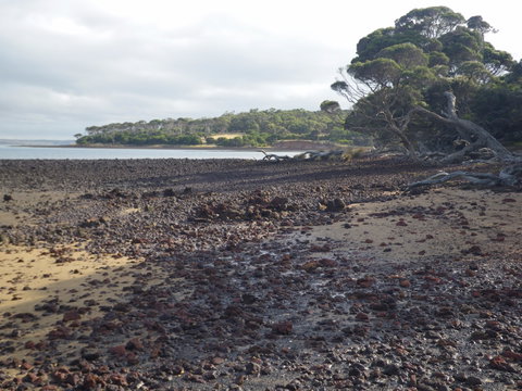Churchill Island Marine National Park - Find Attractions 0