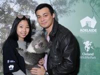 Cleland Wildlife Park - Koala Hold