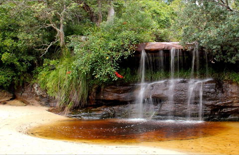 Collins Flat Beach - Find Attractions 0