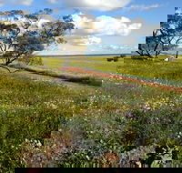 Coorow Wildflower Drive - Find Attractions