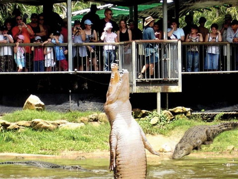 Crocodylus Park And Zoo - Find Attractions 0