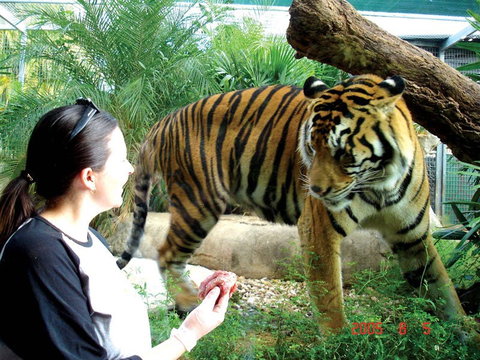 Crocodylus Park And Zoo - Find Attractions 2