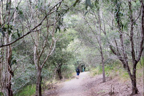 D'Aguilar National Park - Find Attractions 2