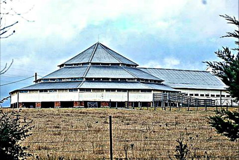 Deeargee Woolshed - Find Attractions 0