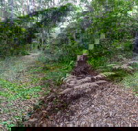 Double Wharf Trail - Find Attractions