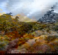 Dove Lake - Find Attractions