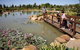 Dubbo Regional Botanic Garden - Closed Until Further Notice - thumb 1