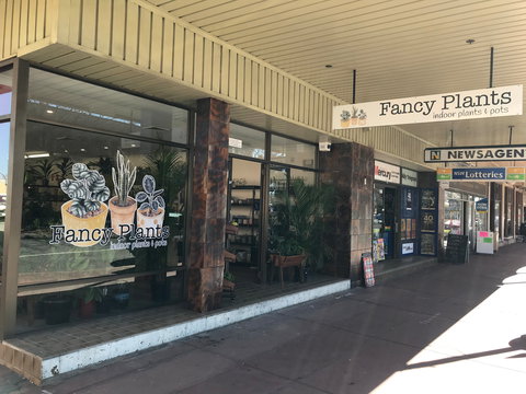 Fancy Plants - Find Attractions 1