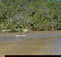 Fitzpatrick Park - Find Attractions