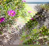 Fort Bribie - Find Attractions