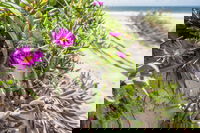 Fort Bribie