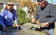 Fossicker Caravan Park Fossicking Park - thumb 2