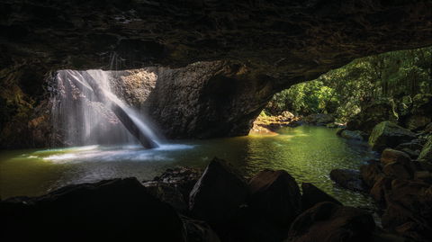 Gondwana Rainforests Of Australia World Heritage Area - Find Attractions 0