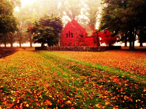 Gostwyck Chapel - Find Attractions 0