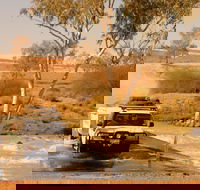 Innamincka Regional Reserve - Find Attractions