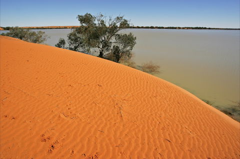 Innamincka Regional Reserve - Find Attractions 1