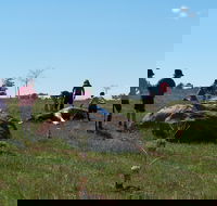 Jim Salmon  Wetland Education Site - Find Attractions