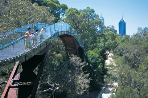 Law Walk - Kings Park - Find Attractions 0