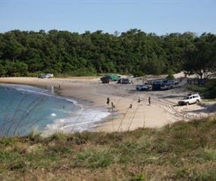 Little Bondi Beach - Find Attractions 2