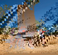 Magnetic Termite Mounds - Find Attractions