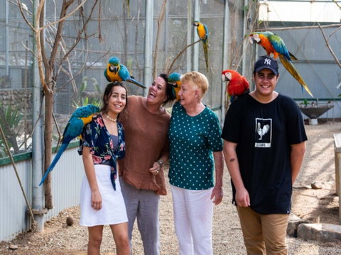 Maleny Botanic Gardens And Bird World - Find Attractions 0
