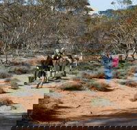 Mallee Stop walking track - Find Attractions