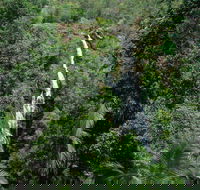 Mapleton Falls National Park - Find Attractions