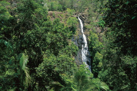 Mapleton Falls National Park - Find Attractions 0