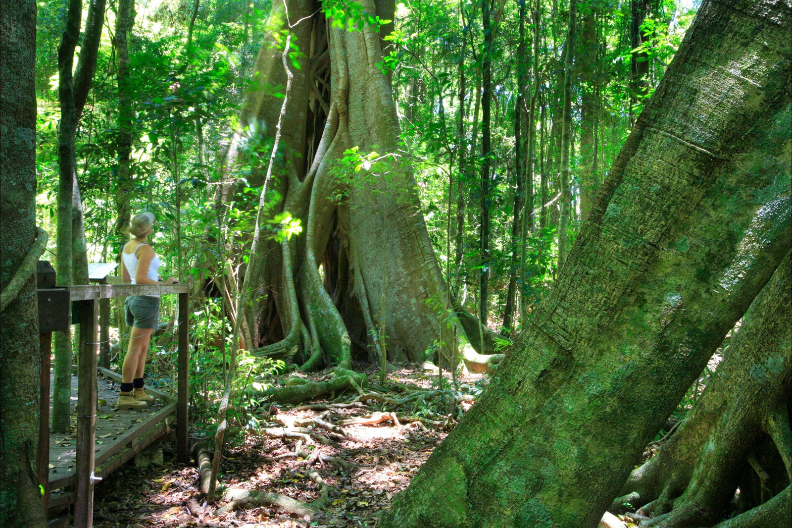 Wootha QLD Find Attractions