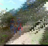 Meningie Lions Walking Trail - Find Attractions