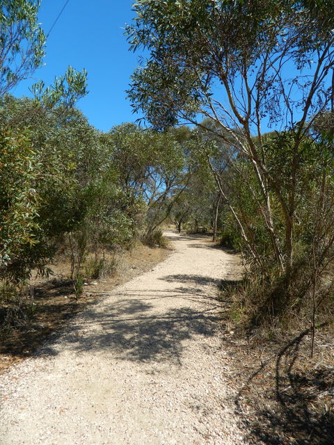 Meningie Lions Walking Trail - Find Attractions 2